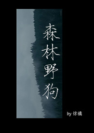 森林野人洞穴